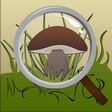 FungiRadar